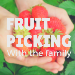 Top 5 reason why you should go fruit picking!